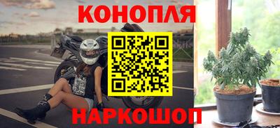 Альфа ПВП Заводоуковск