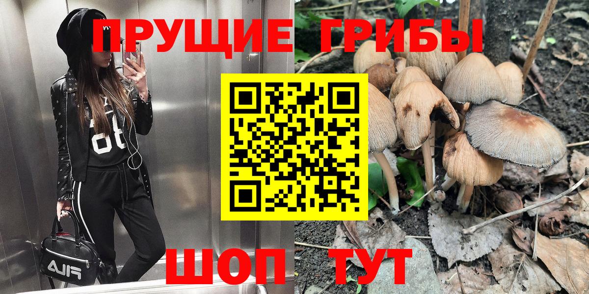 Галлюциногенные грибы Cubensis  Псилоцибиновые грибы мухоморы  что такое   Вход с VPN  Междуреченск 